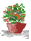 flower pot